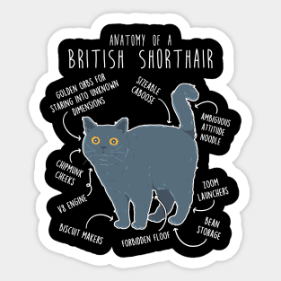 British Shorthair Cat Anatomy Sticker